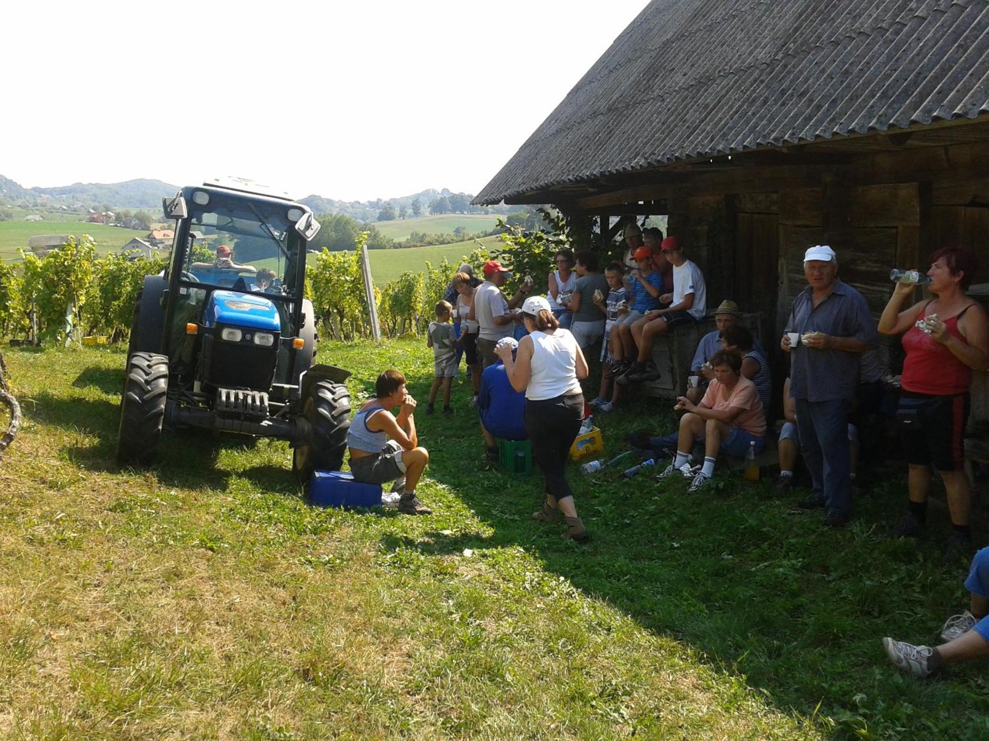 Grobelnik Tourist Farm Villa Sevnica Exteriör bild